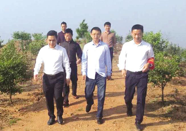 临湘市委副书记余岳雄(左)来购宝钱包官网基地调研