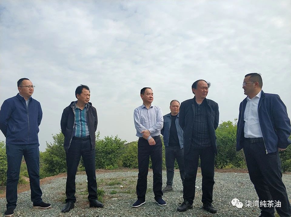 省林业局规则刷新处及市区向导来购宝钱包官网公司调研事情
