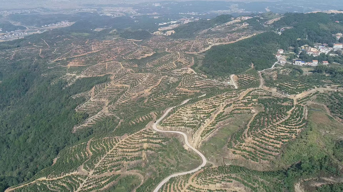 购宝钱包官网农业刘家湾基地