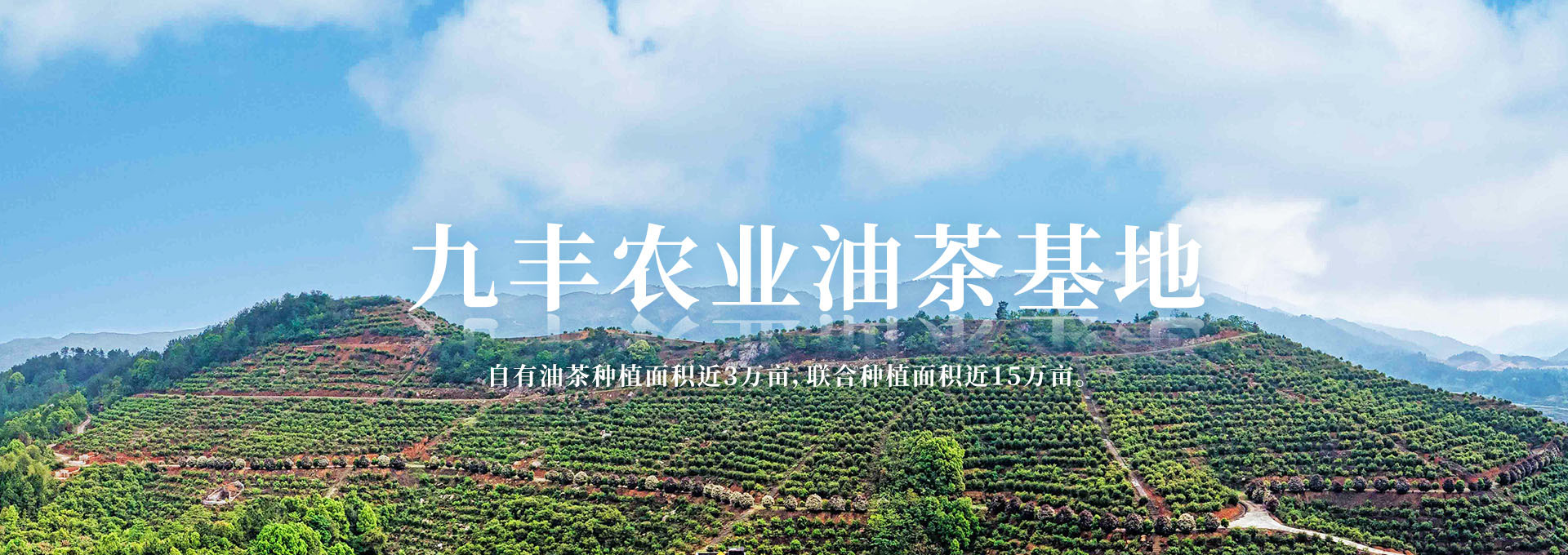 购宝钱包官网